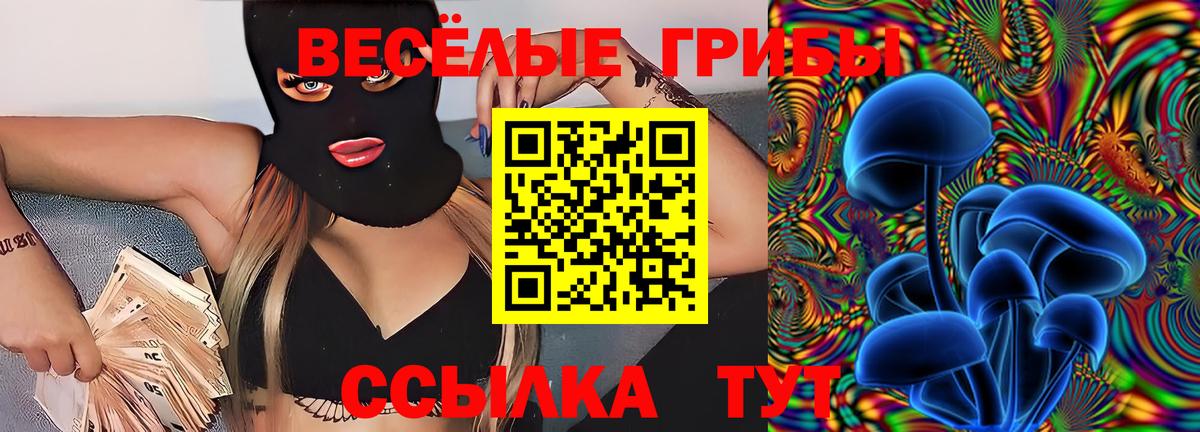 Псилоцибиновые грибы Cubensis  Вход с VPN  Губкинский 