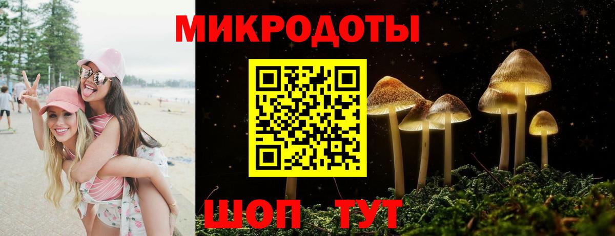 Псилоцибиновые грибы Psilocybe Губкинский